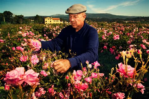 chanel roses new yorker|flowers that make Chanel.